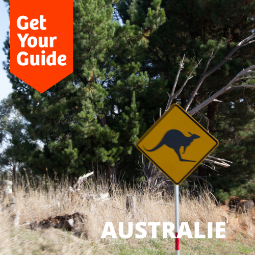 panneau attention kangourou sur le bord d'une route en australie